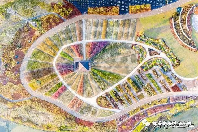 无锡哪里有看花海的景点,无锡秋季花海旅游景点