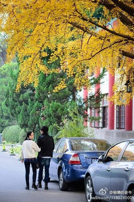 一到秋天南京就成了金陵,一入秋南京就成了金陵