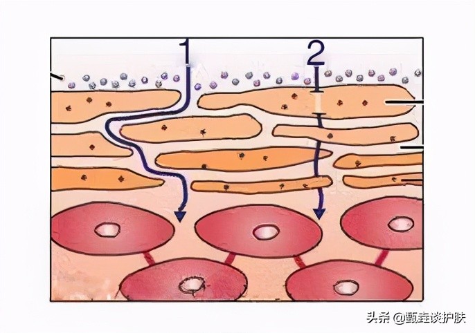 皮肤水油失衡毛孔堵塞该怎么办,皮肤出油毛孔堵塞严重屏障受损