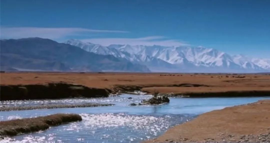 72TED人类学推荐纪录片01《我是中国的孩子》