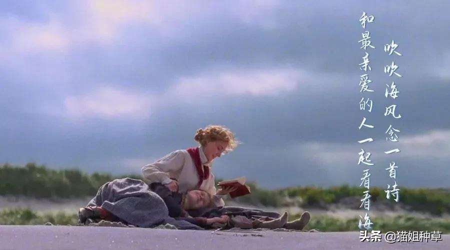 穿出奥斯卡复古名媛感,《小妇人》的设计美学超好用