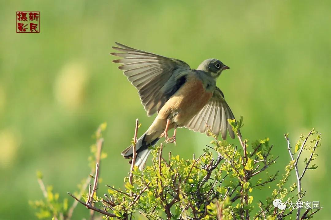 带娃的日子有滋有味,日子过得有滋有味广场舞