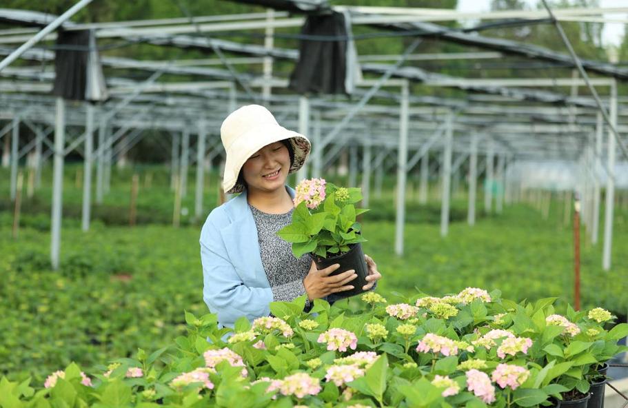 “冷专业”不冷！安徽农学毕业生的“热”力人生