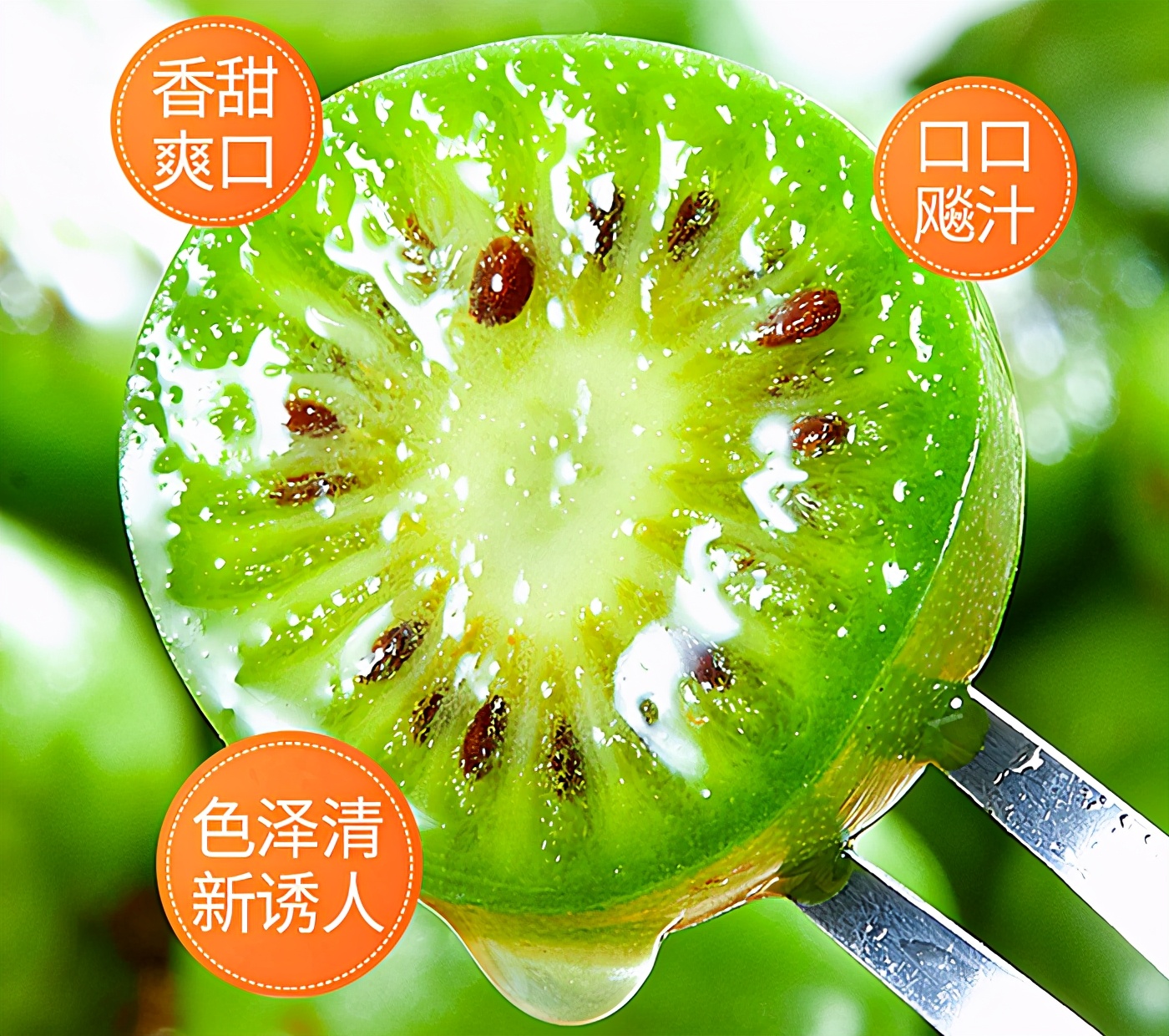 长得像青枣的猕猴桃是什么品种,像枣子一样的猕猴桃