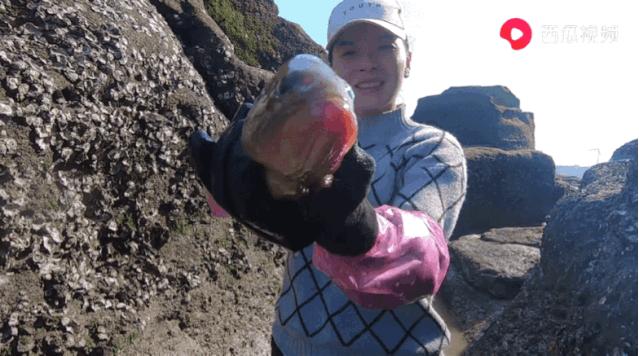 西瓜视频赶海活动,西瓜视频赶海