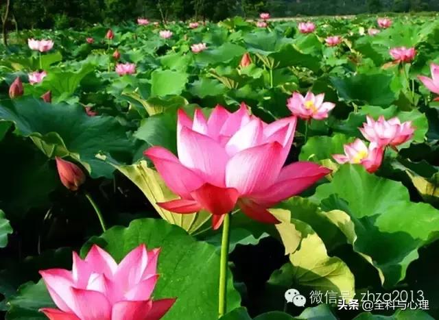 第18条觉醒,18条自我沟通技巧