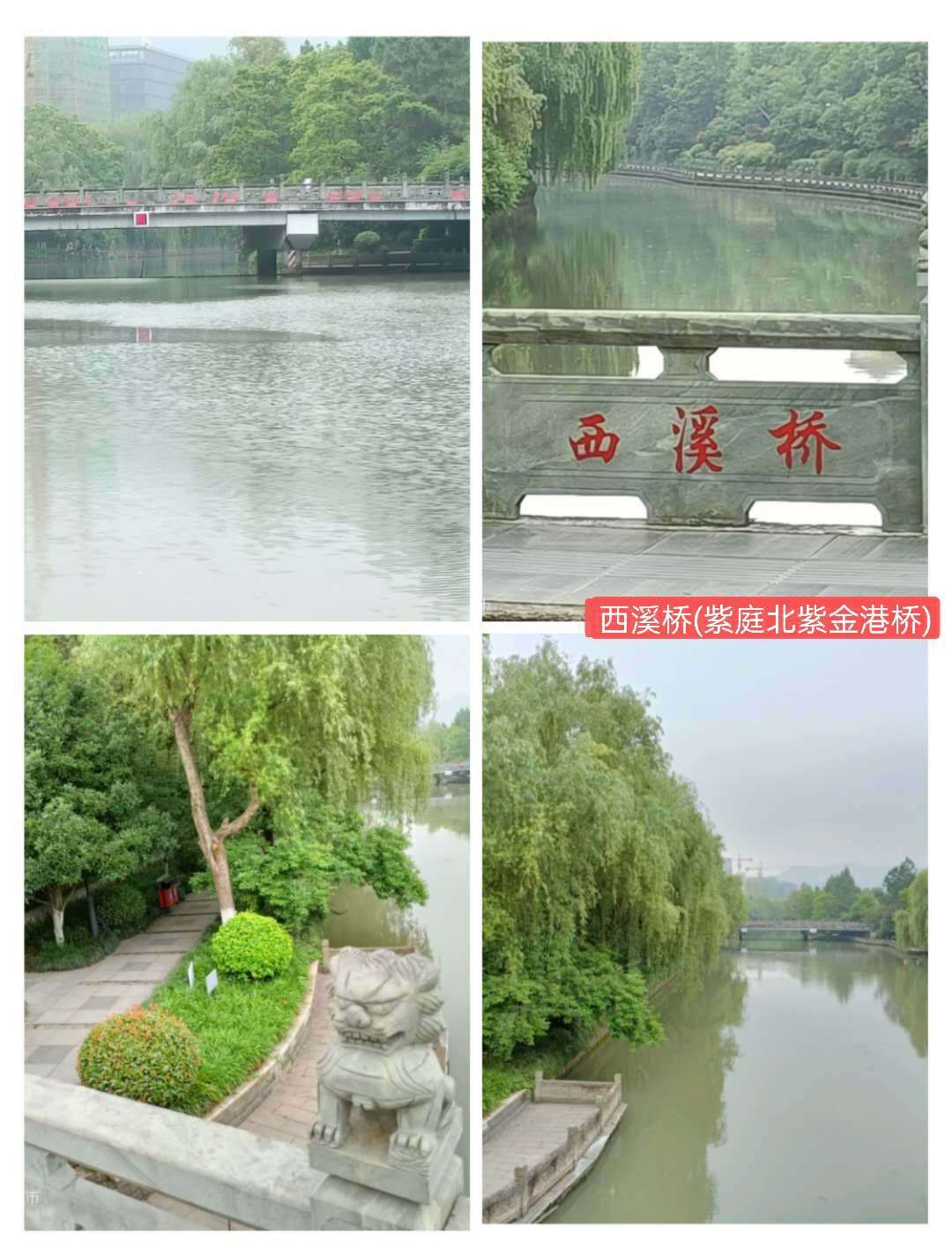 紫金港绿道钓鱼,紫金港河钓鱼