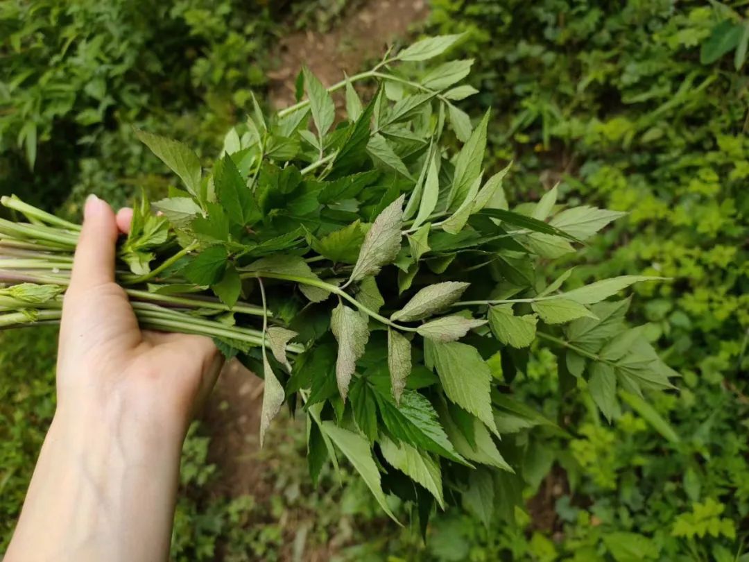 首届梦控师线下工作坊：走在梦的路上，胜过人间天堂