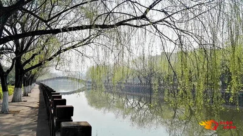 禄丰泡温泉攻略,禄丰恐龙谷温泉旅游攻略