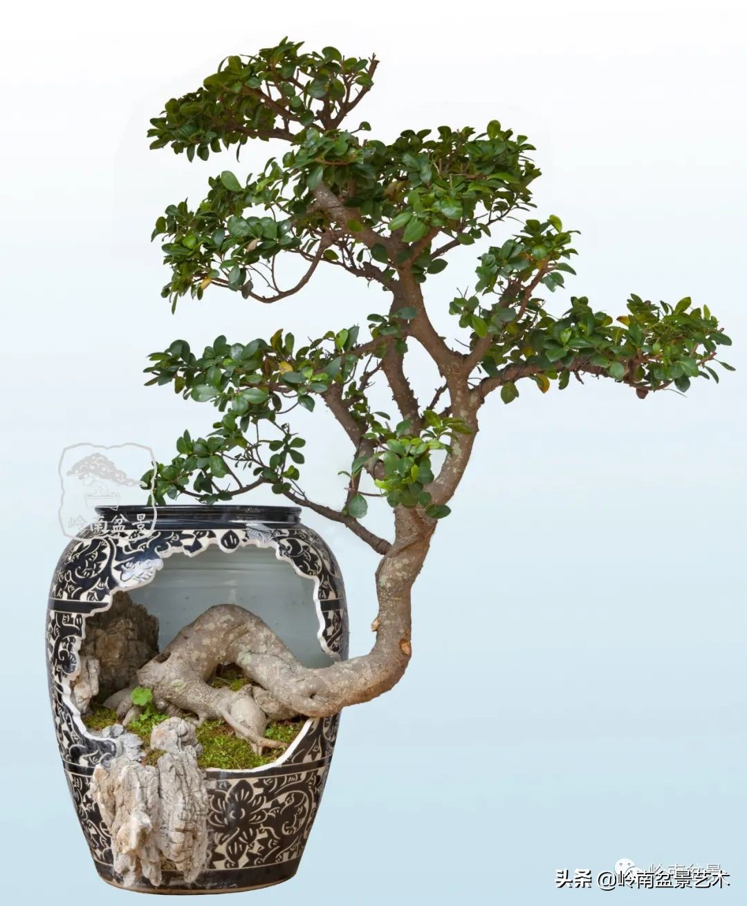 大师经典藏品,景德镇大师燕尾瓶价格