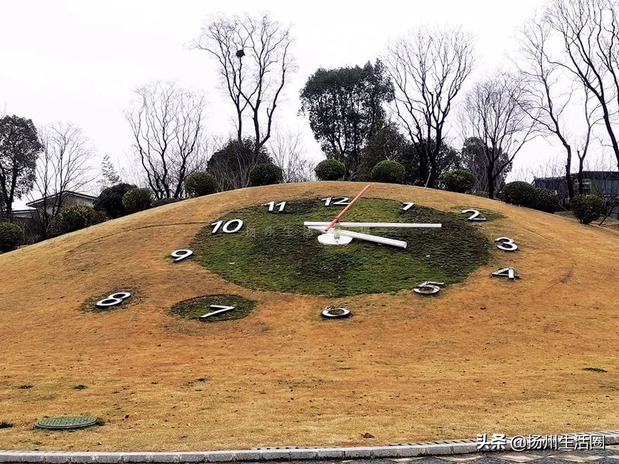 2元花盆批发清仓,2元花卉批发市场
