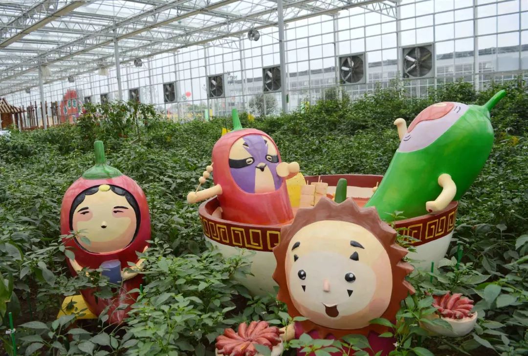 一泡而红!四川这座小城已火向全球,今天万人齐聚!