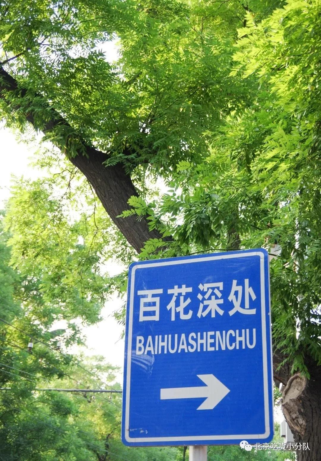 北京胡同一日游这8条必逛,北京胡同游攻略地图