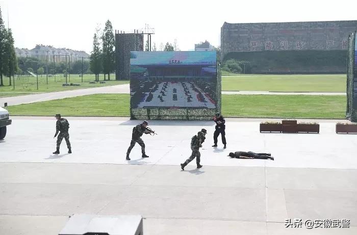 纪实视频,记实记录