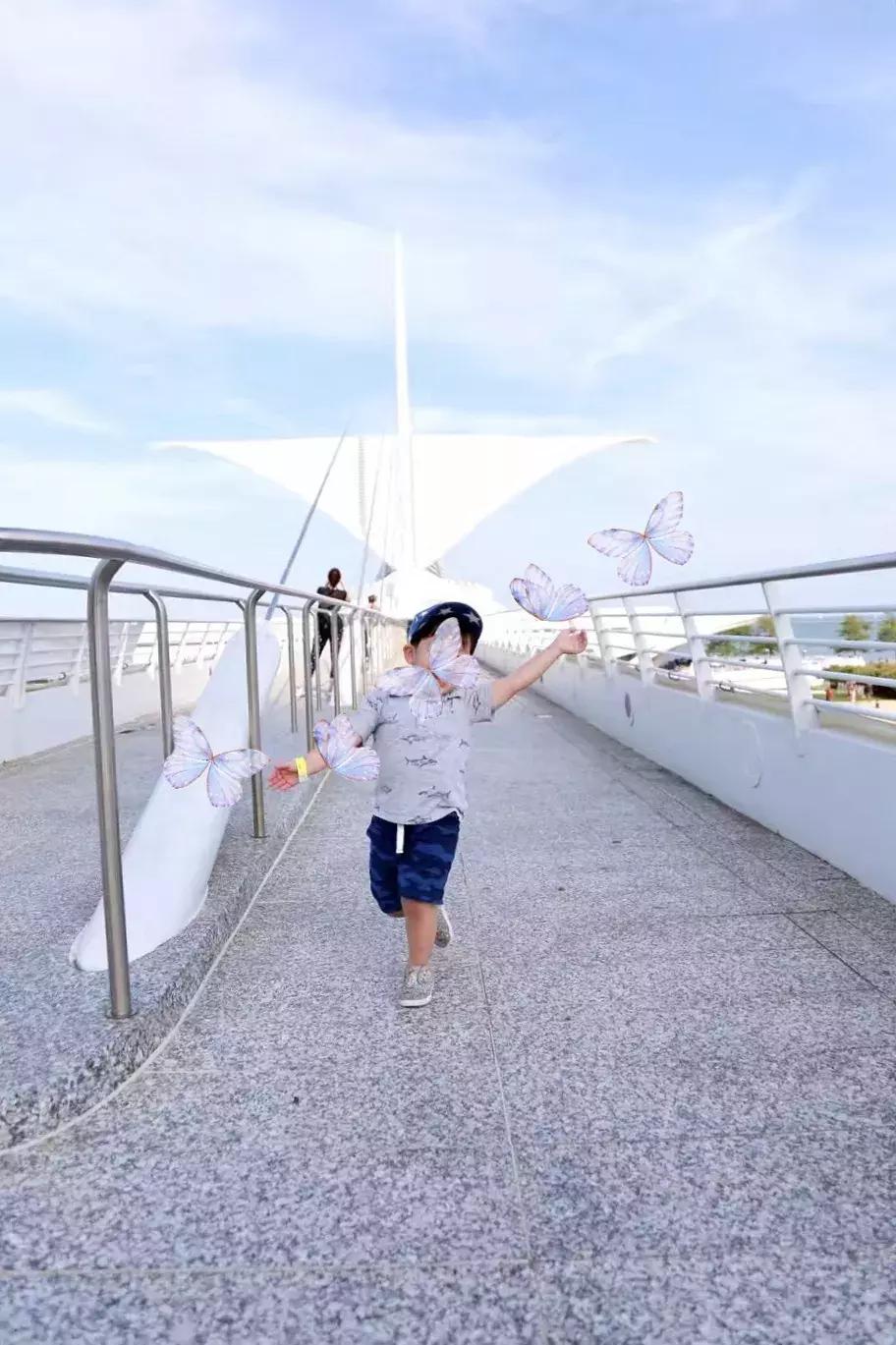 芝加哥及周边的好去处,芝加哥周边游玩