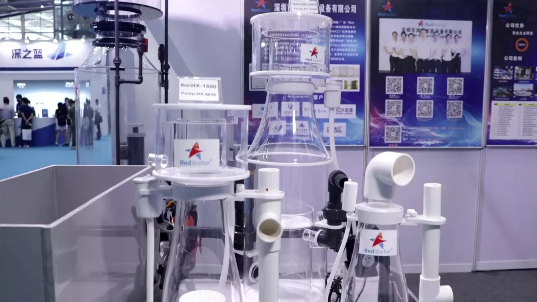 海精灵带你第一时间零距离感受2020海博会盛况