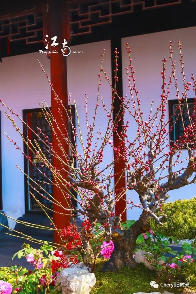 苏州旅游值得去的景点,去苏州旅游攻略最好的景点