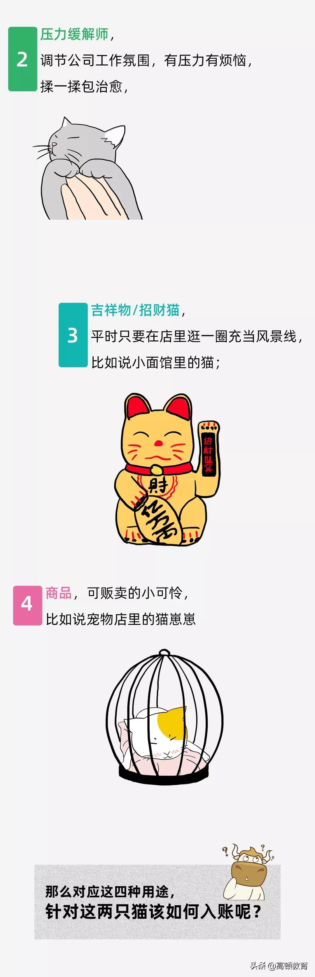公司买个猫怎么处理,公司买的猫怎么入账