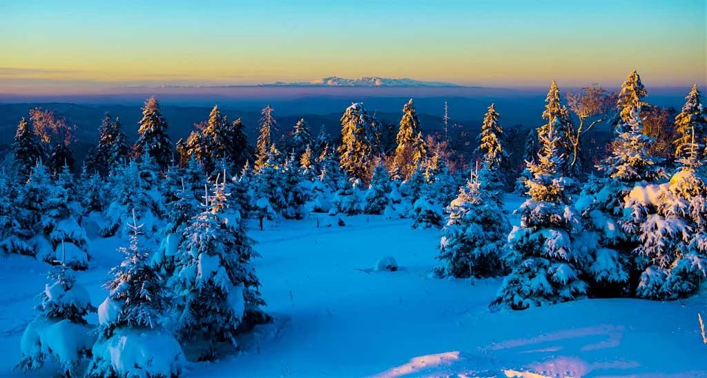 冬季的庭院景观,美丽如画的自然景观让人心旷神怡