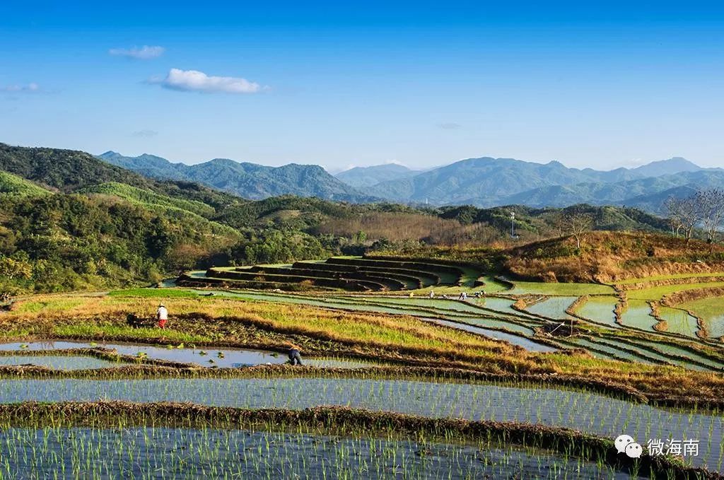 海南五指山牙胡梯田最佳观景台,牙胡梯田风景区游玩项目