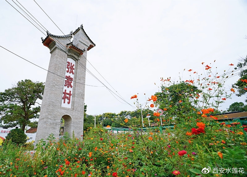 原来你是这样的西安,原来你是这样的人大代表
