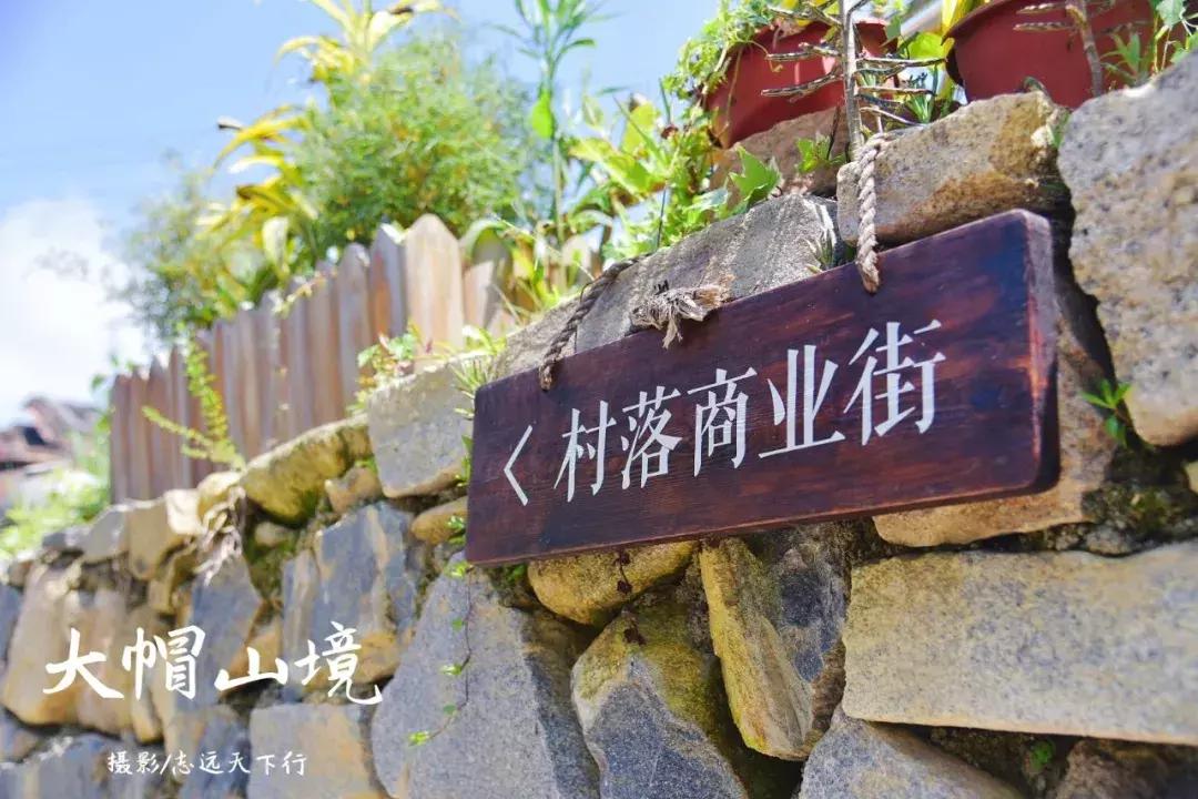 厦门那些你不知道的景点,厦门莫干山