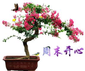 周末愉快创意动态祝福图片,最美周末问候动态图片大全