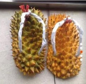 圣诞节礼物中国特色,最有特色圣诞礼物