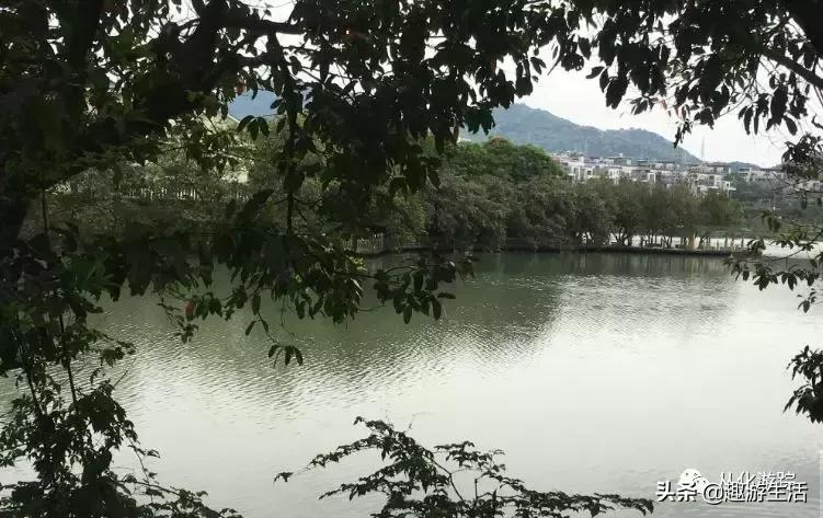 从化温泉旅游区徒步方案,从化泡温泉徒步路线