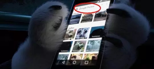 迪士尼彩蛋疯狂动物城,疯狂动物城的十大彩蛋