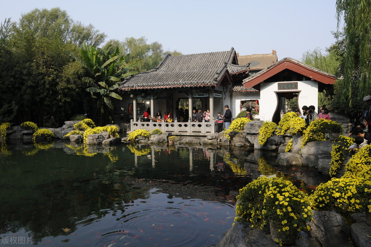 一个南方人对山东的看法,山东人在南方的印象