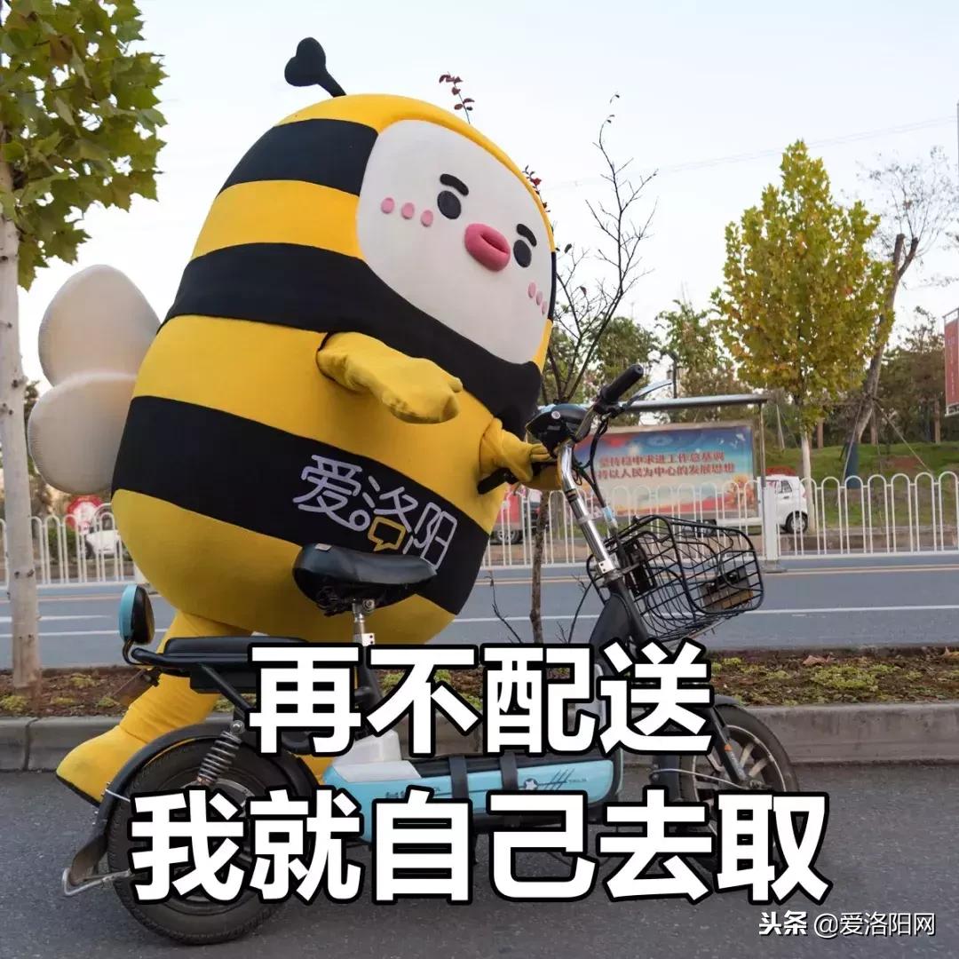 双十一账单图,双十一账单查询2020