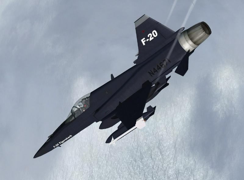 虎鲨悲剧,极富悲剧色彩的虎鲸