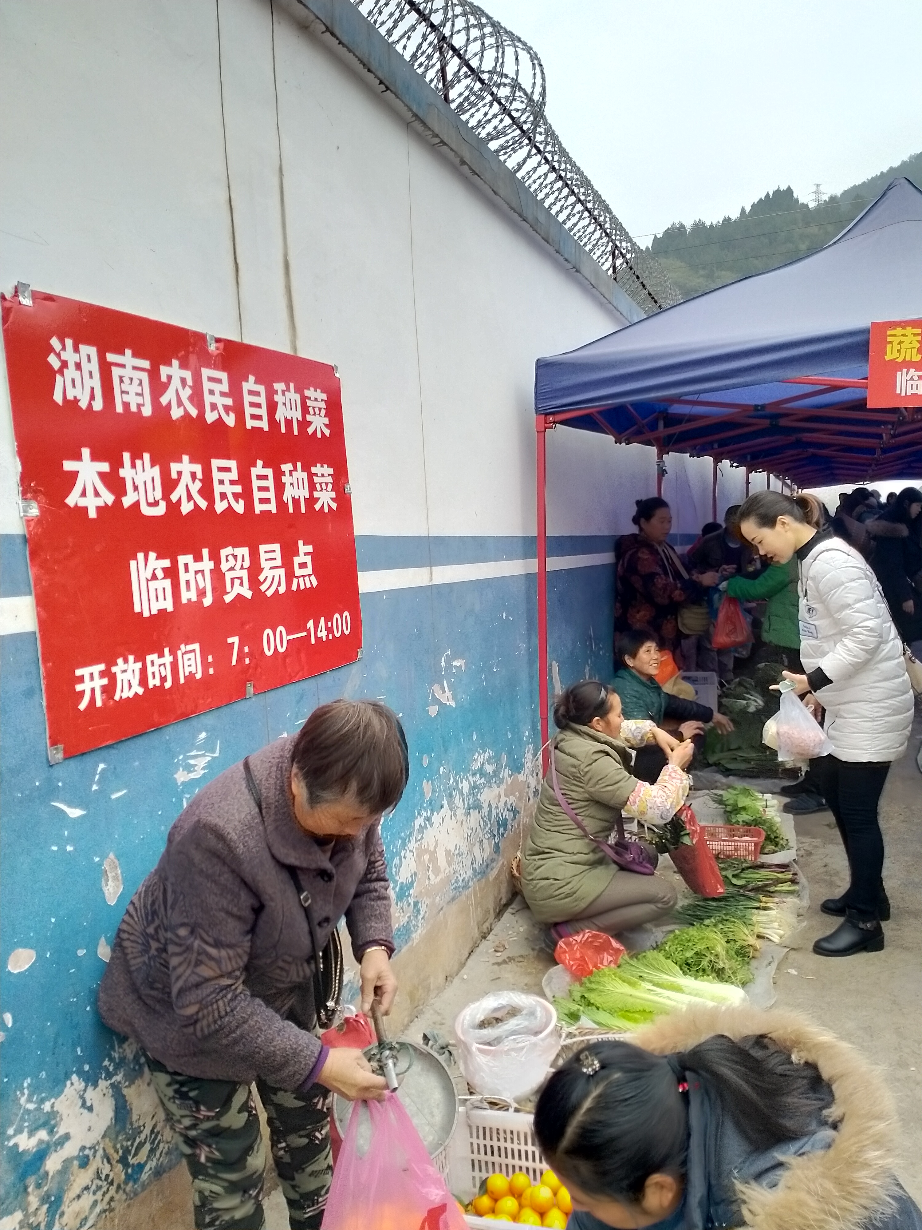 从湘西到贵州的老年跨省卖菜队：凌晨赶火车，一斤多赚两块钱，被城管折断七八杆秤