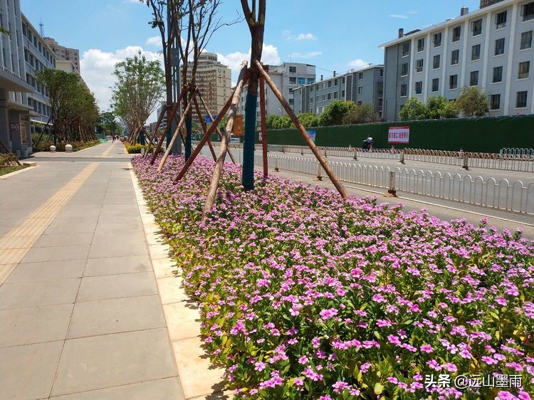 昆明市董家湾在哪里,昆明董家湾图片