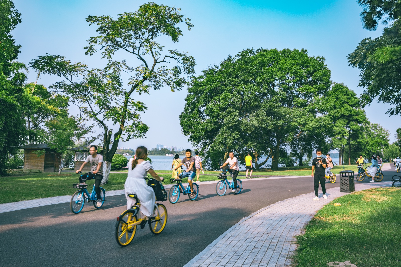 武汉东湖发生什么事,武汉东湖最近发生的大事