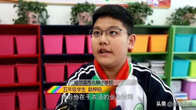 闪闪的红星中的红星精神,闪闪的红星精神