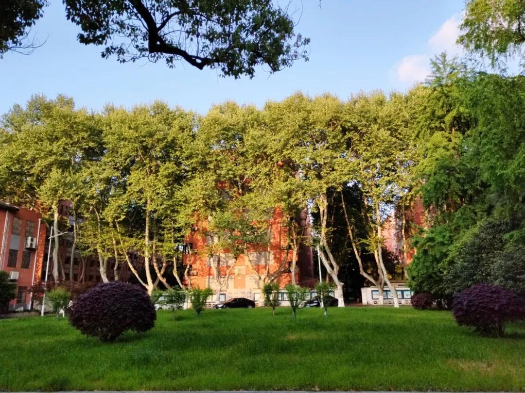 南京邮电大学中国科学技术大学,江苏省南京邮电大学专升本