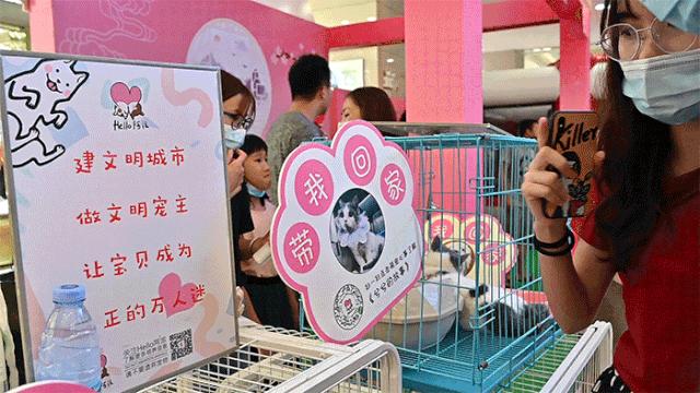 保利MALL 阿派领养日！有只萌宠在call你…