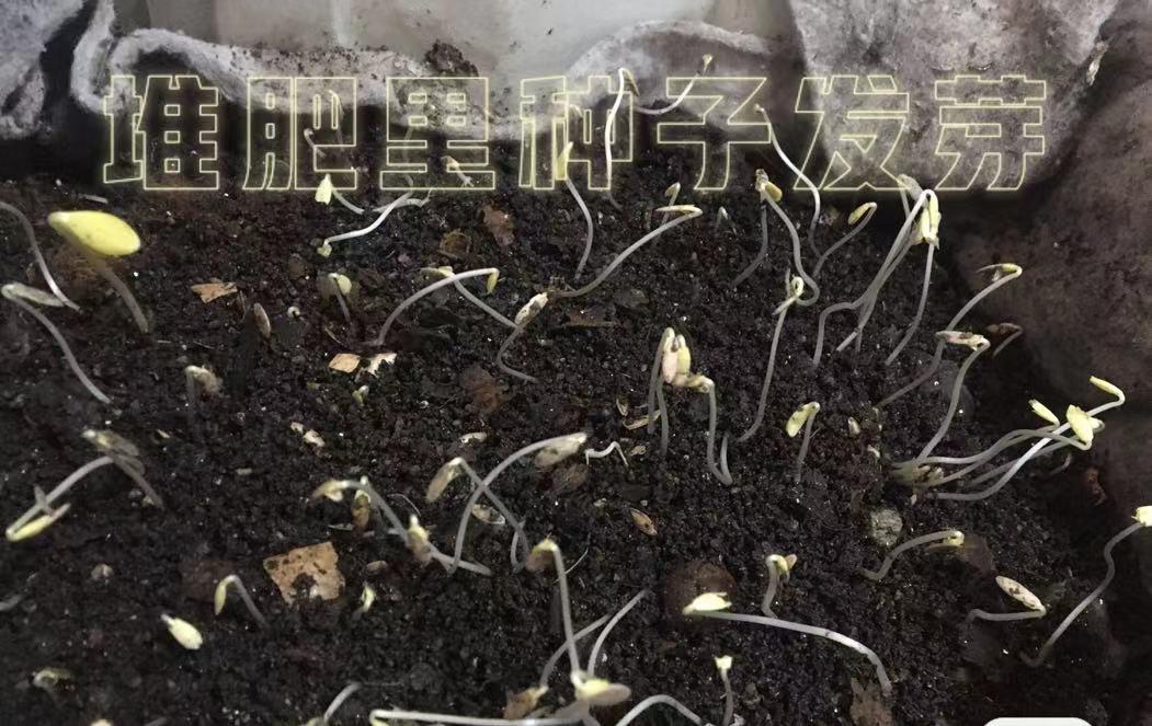 堆肥过程中遇到的困难及解决方法,堆肥土太过湿黏怎么改善