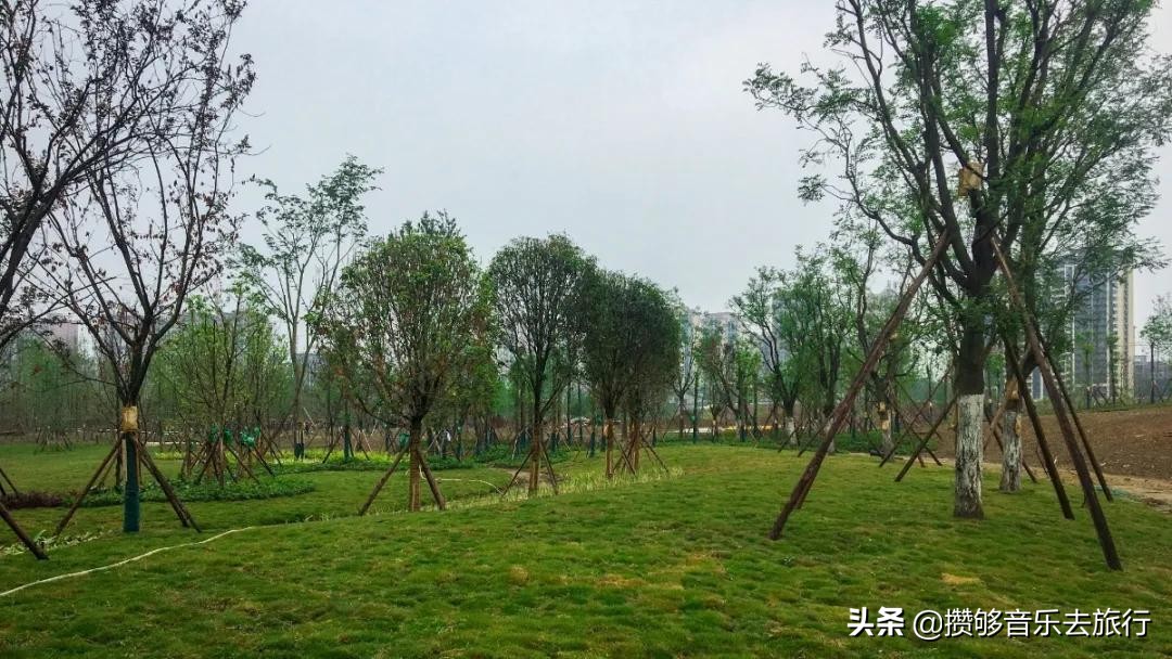 彭山竹韵廊公园,彭山竹韵廊在什么地方