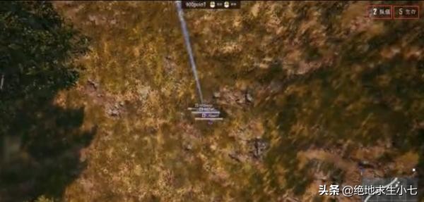 免电网伤害外挂，站着不动也能吃鸡！蓝洞需要有所作为