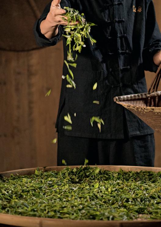 惠明茶叶的功效,惠明茶绿茶