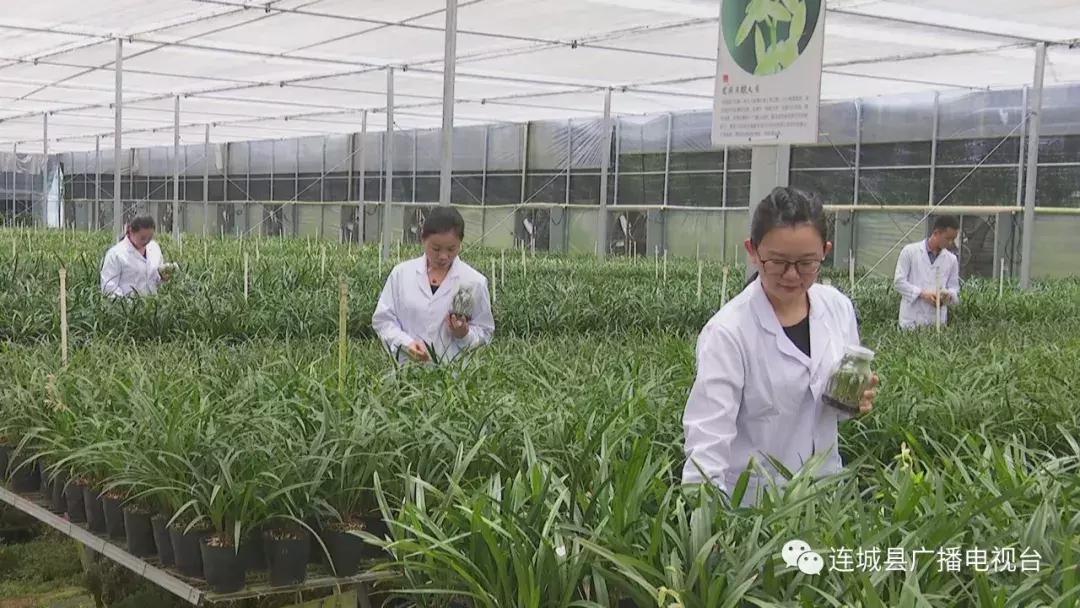 杩炲煄蹇棯鐜板満瑙嗛,杩炲煄琛楀ご蹇棯琛ㄦ紨