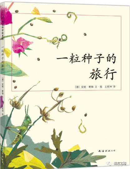 探访菜市场,菜市场探秘