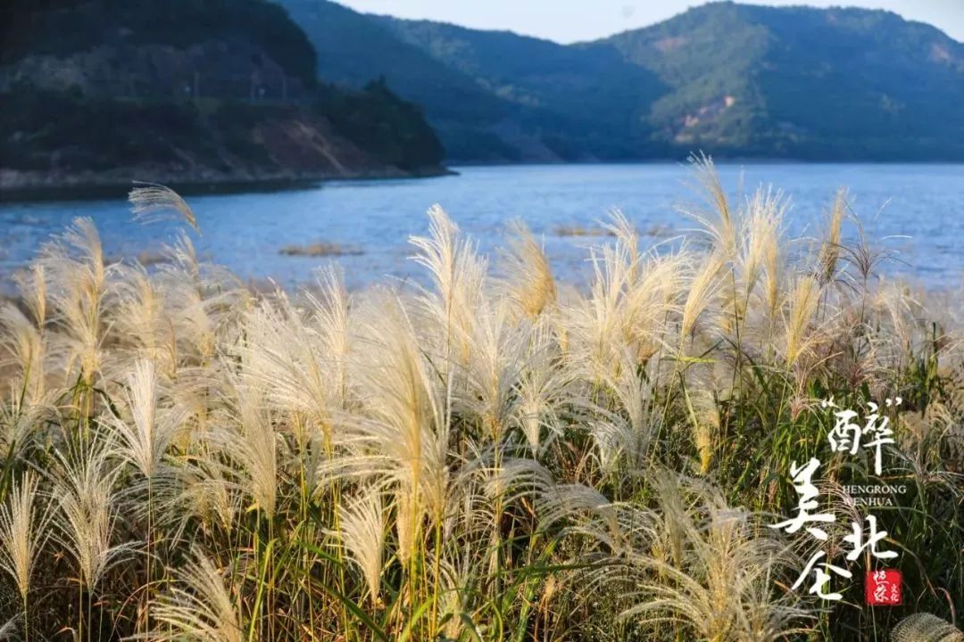 家在北仑,我有一个家北仑