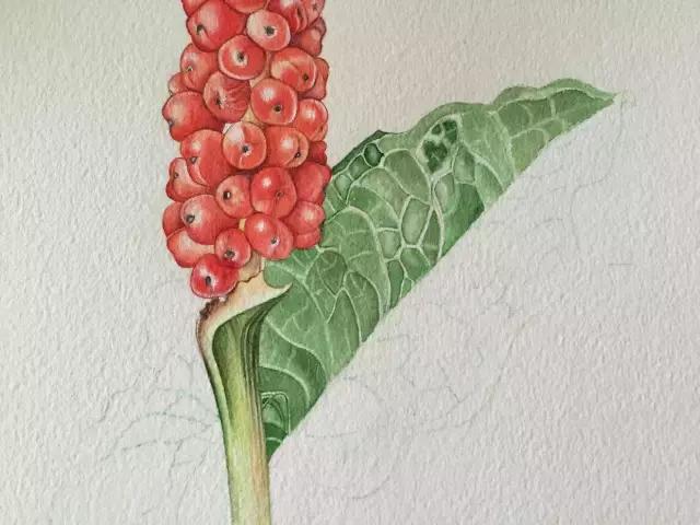 水彩密密麻麻的树叶怎么画,水彩画教程入门叶子