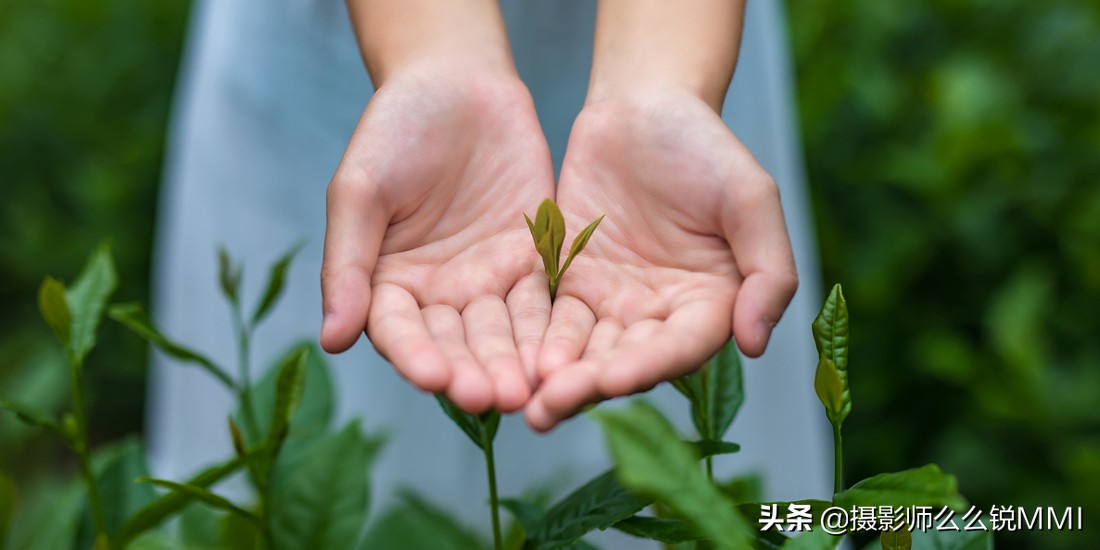 这里。藏着你“向往的生活”黄山美宿-汤口山语