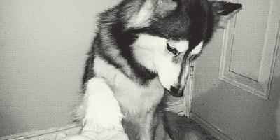 境外网址和中国网址域名有何差别,海外自营比官方旗舰店便宜