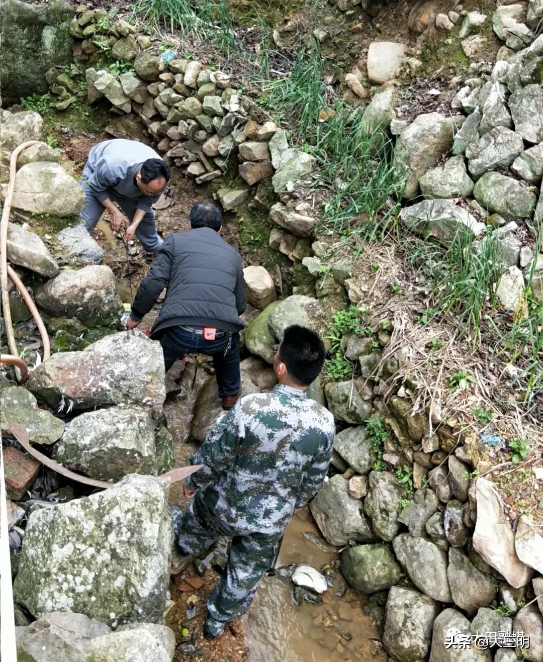 【满意在三明】清沟扫地摆整齐，大田掀起人居整治热潮